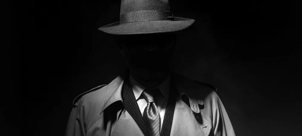 Private Detective - Fraud Prevention (cibercrime)